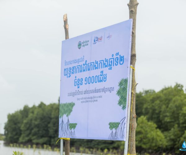 Vital, International Mangrove Conservation Day 2021